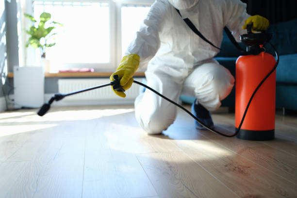 Reliable Blood Cleanup contractor in Camp Nelson, CA by Crime Scene Cleaner Online